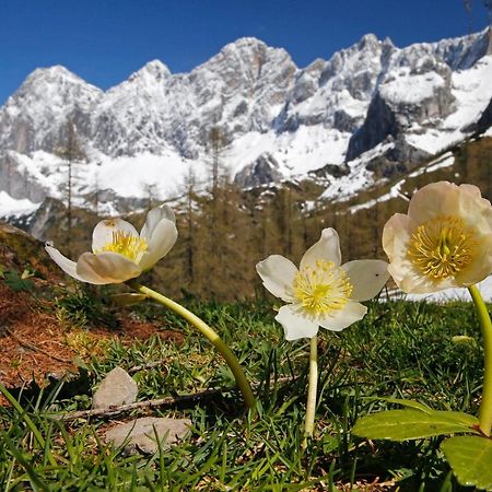 Appartementhaus Finis Ramsau am Dachstein Exterior foto