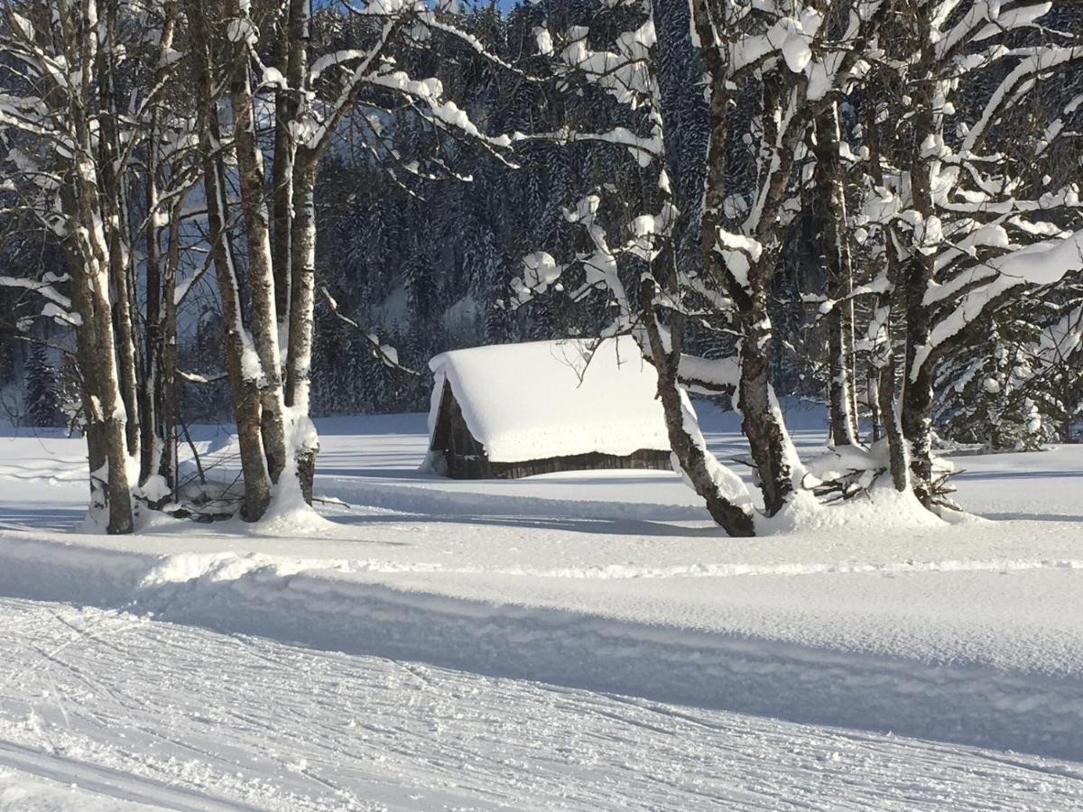 Appartementhaus Finis Ramsau am Dachstein Exterior foto
